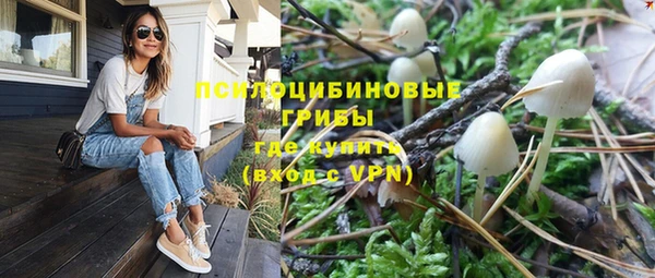 стафф Алексеевка