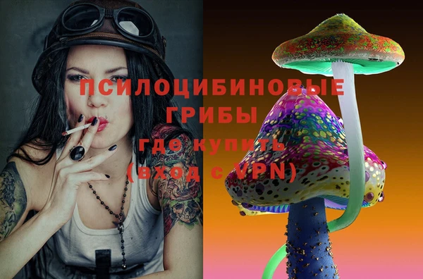стафф Алексеевка