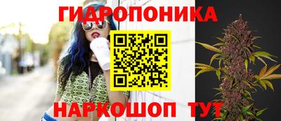 бутират Гусь-Хрустальный