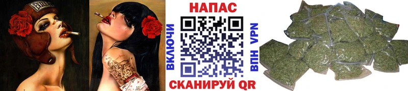 как найти закладки  Всеволожск  Конопля SATIVA & INDICA 