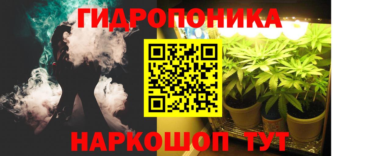 Канабис план Всеволожск